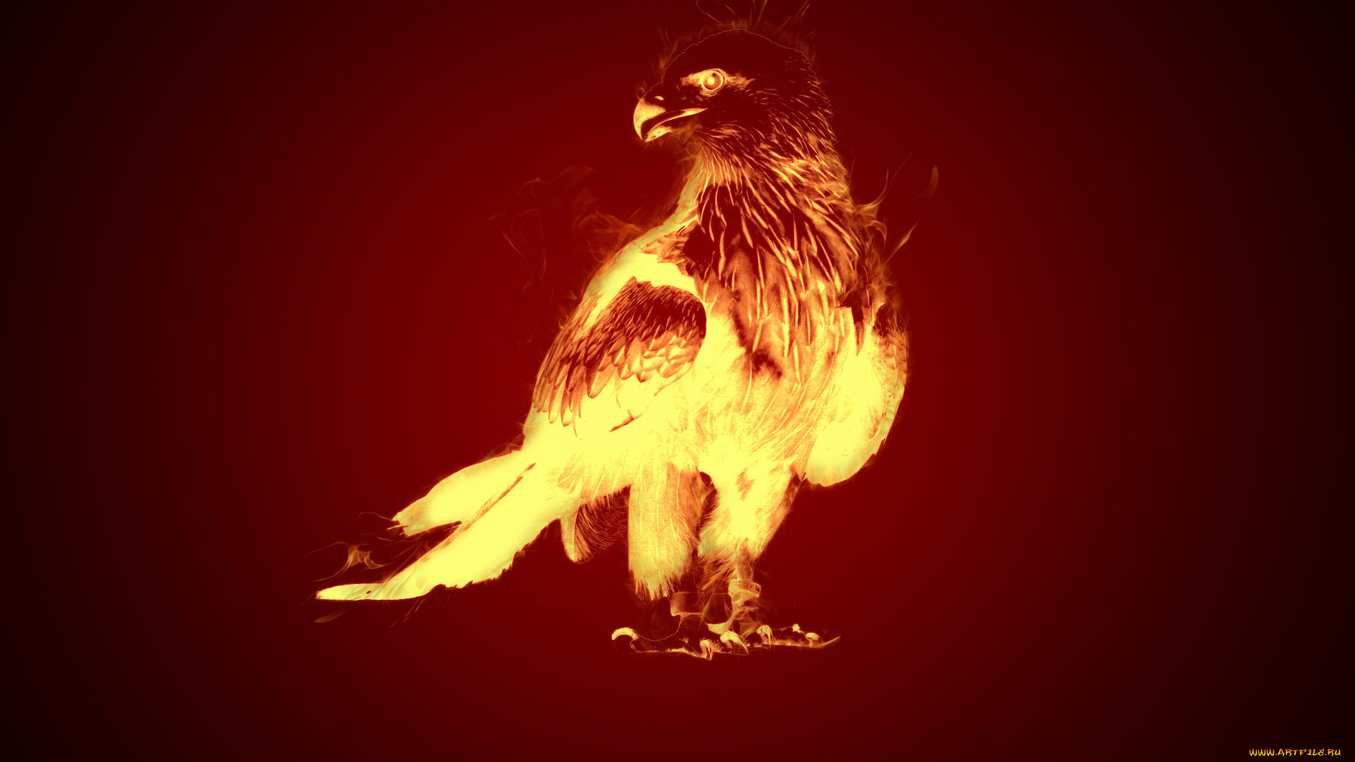 3, , animals, , 